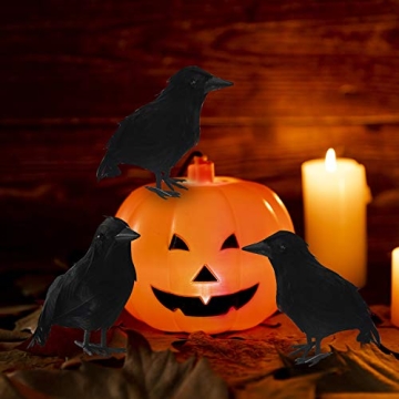 Lifelike FUNPENY Halloween Black Feathered Crows - 6 Pack