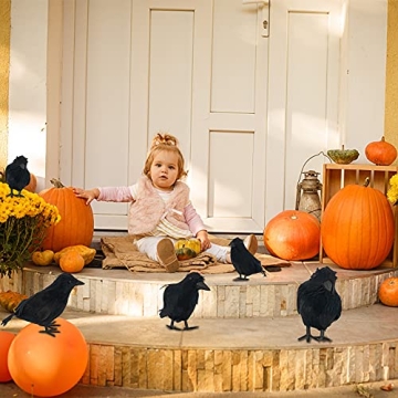 Lifelike FUNPENY Halloween Black Feathered Crows - 6 Pack