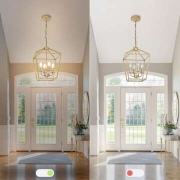 Modern 4 Light Chandelier - Stylish Metal Cage Fixture