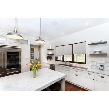 Redi Shade Easy Lift Cordless Cellular Blackout Window Shades