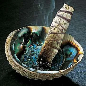 6 Pack California White Sage Smudge Sticks for Cleansing