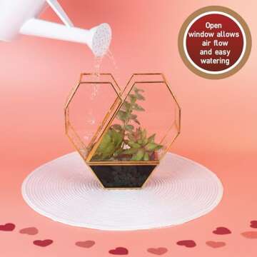 D'Eco Glass Valentine Heart Plant Terrarium (8X 8X 2.5)- Gold Trim Geometric Planter - Succulents, Air Plants, Moss, Fern- Valentines Day Decor- Valentine's Day Gift for Her, Plant Lovers, Girlfriend
