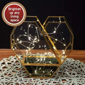 D'Eco Glass Valentine Heart Plant Terrarium (8X 8X 2.5)- Gold Trim Geometric Planter - Succulents, Air Plants, Moss, Fern- Valentines Day Decor- Valentine's Day Gift for Her, Plant Lovers, Girlfriend