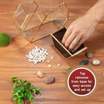 D'Eco Glass Valentine Heart Plant Terrarium (8X 8X 2.5)- Gold Trim Geometric Planter - Succulents, Air Plants, Moss, Fern- Valentines Day Decor- Valentine's Day Gift for Her, Plant Lovers, Girlfriend