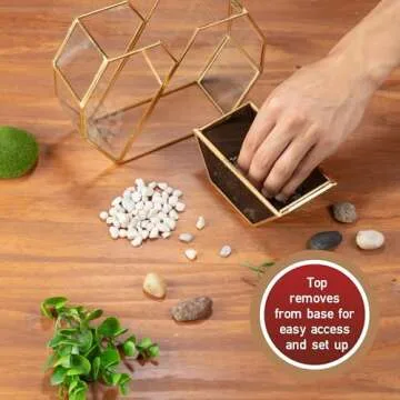 D'Eco Glass Valentine Heart Plant Terrarium (8X 8X 2.5)- Gold Trim Geometric Planter - Succulents, Air Plants, Moss, Fern- Valentines Day Decor- Valentine's Day Gift for Her, Plant Lovers, Girlfriend