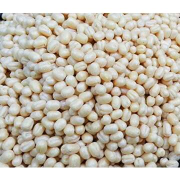 Laxmi Organic Urad Gota (Black Lentils or Whole Matpe Beans) - Traditional Indian Foods - 2lbs