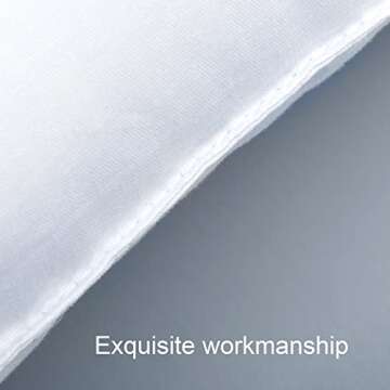 NTBAY 2 Pack Cotton Down Alternative 13x18 Pillows, Machine Washable - Soft and Breathable Travel Sm...