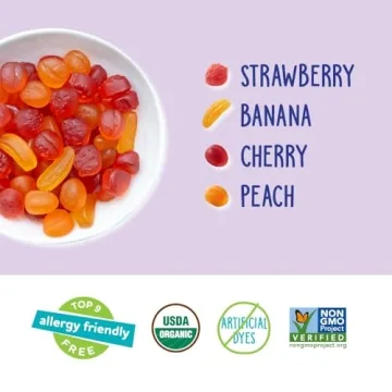 YumEarth Organic Fruit Snacks Box - 10 Count Healthy Treats