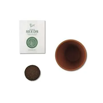 Buzzy Seeds Terracotta Mini Grow Pots | Herb, Plant, Flower Starter Kit for Kids & Adults | Assorted 6-Pack, Daydream Collection | Guaranteed to Grow | Best Indoor-Outdoor Gardening Gift
