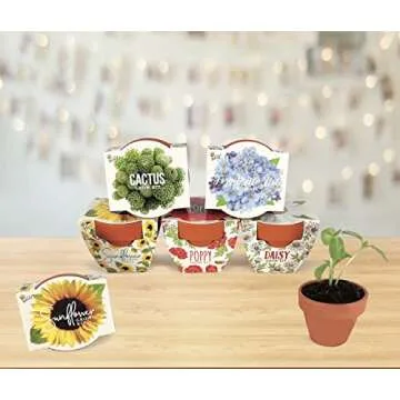 Buzzy Seeds Terracotta Mini Grow Pots | Herb, Plant, Flower Starter Kit for Kids & Adults | Assorted 6-Pack, Daydream Collection | Guaranteed to Grow | Best Indoor-Outdoor Gardening Gift