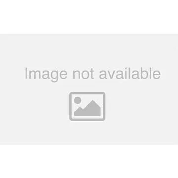 Vionic Women's Poppy Braided Slide Sandal with Arch Support