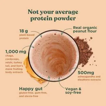 Four Sigmatic Organic Plant-Based Protein Powder Peanut Butter Protein with Lion’s Mane, Chaga, Cordyceps and More | Clean Vegan Protein Elevated for Brain Function and Immune Support | 21.16 oz
