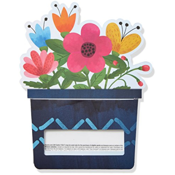 Amazon Gift Card in a Flower Pot Reveal - Perfect Gift