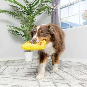 SPOT Sour Pooch - Fun Squeaky Toy for Small Dogs