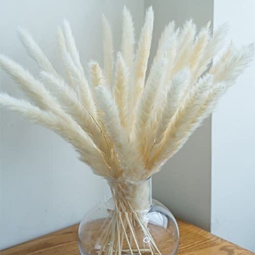 Natural White Pampas Grass Elegant Decor 25pcs