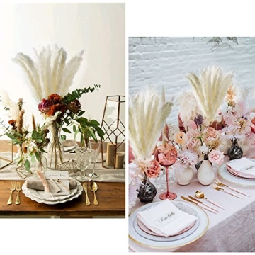 Natural White Pampas Grass Elegant Decor 25pcs