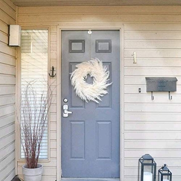 Natural White Pampas Grass Elegant Decor 25pcs