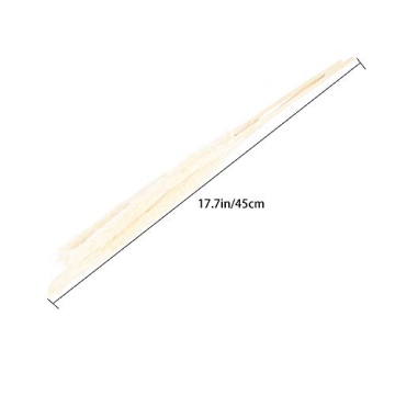 Natural White Pampas Grass Elegant Decor 25pcs