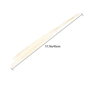 Natural White Pampas Grass Elegant Decor 25pcs