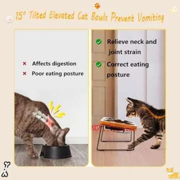 FUNACAY Elevated Cat Bowls for Healthier Pet Feeding