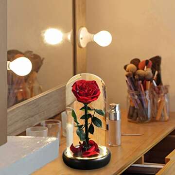 Dream of Flowers Valentines Day Gifts for Her, Beauty and The Beast Rose,Preserved Real Rose in Glass Dome on Black Wood with Warm Light,Valentines Rose Gifts for Women Wife Mom Girlfriend,Birthday