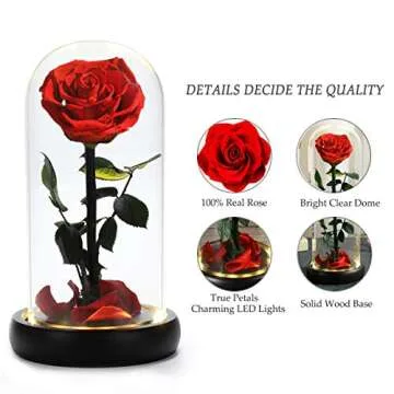 Dream of Flowers Valentines Day Gifts for Her, Beauty and The Beast Rose,Preserved Real Rose in Glass Dome on Black Wood with Warm Light,Valentines Rose Gifts for Women Wife Mom Girlfriend,Birthday