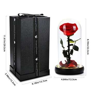 Dream of Flowers Valentines Day Gifts for Her, Beauty and The Beast Rose,Preserved Real Rose in Glass Dome on Black Wood with Warm Light,Valentines Rose Gifts for Women Wife Mom Girlfriend,Birthday