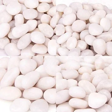 BLQH White Pebbles for Homes, Gardens, and Aquariums