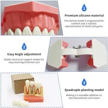 Dental Model Standard Size for Brushing Flossing Practice - Silicone Teeth Typodonts with Visible Gingiva, Anatomic Teaching Demonstration - Educational Dental Care Tool for Kids Students