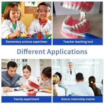 Dental Model Standard Size for Brushing Flossing Practice - Silicone Teeth Typodonts with Visible Gingiva, Anatomic Teaching Demonstration - Educational Dental Care Tool for Kids Students