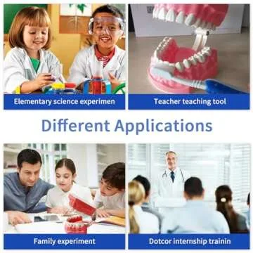 Dental Model Standard Size for Brushing Flossing Practice - Silicone Teeth Typodonts with Visible Gingiva, Anatomic Teaching Demonstration - Educational Dental Care Tool for Kids Students