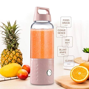 Portable Vitamer Mini USB Juicer Cup and Blender