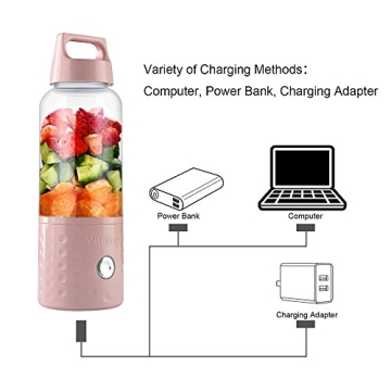 Portable Vitamer Mini USB Juicer Cup and Blender