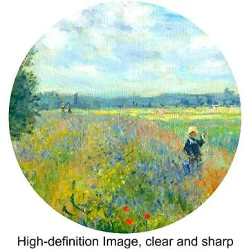 Poppy Fields Near Argenteuil by Monet Framed Art