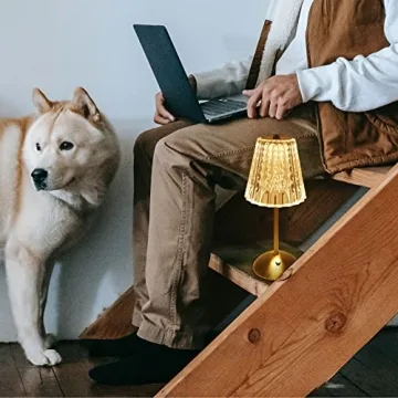 Amingulry Cordless Table Lamp with 3 Color Modes