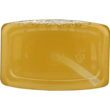MOON VALLEY ORGANICS Orange Spice Liquid Hand Soap