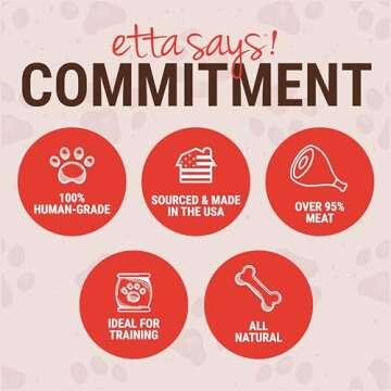 High-Quality Beef Jerky Dog Treats - Made in USA