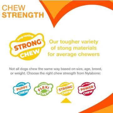 Nylabone Double Action Bone - Strong Chew Toy for Dogs