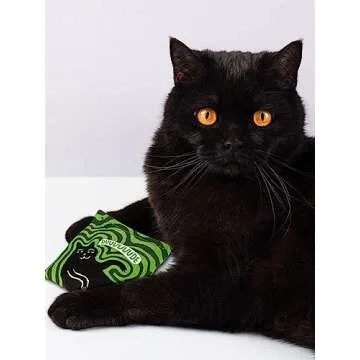 Blue Q Duuuuuuude Catnip Cat Toy. Premium Organic Catnip Grown in The USA, 100% Cotton Pouches, Kitty Graphics Sure to Delight Every Cat-Keeper.