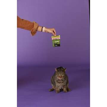 Blue Q Duuuuuuude Catnip Cat Toy. Premium Organic Catnip Grown in The USA, 100% Cotton Pouches, Kitty Graphics Sure to Delight Every Cat-Keeper.