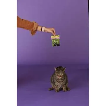 Blue Q Duuuuuuude Catnip Cat Toy. Premium Organic Catnip Grown in The USA, 100% Cotton Pouches, Kitty Graphics Sure to Delight Every Cat-Keeper.