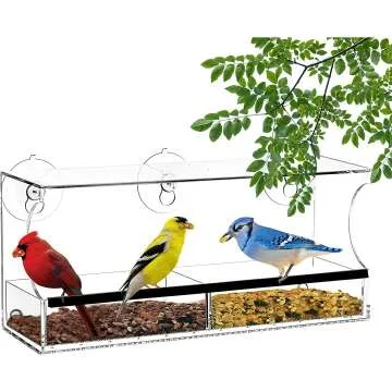 Clear Window Bird Feeder - Enjoy Nature from Home with Kids & Cats