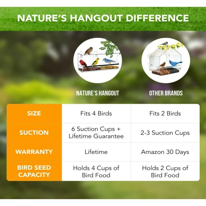 Window Bird Feeder - Enjoy Bird Watching from Home