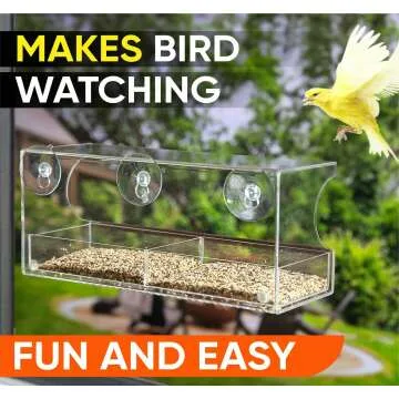 Window Bird Feeder - Enjoy Bird Watching from Home