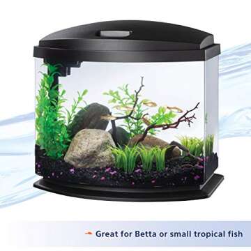 Aqueon LED MiniBow Aquarium Kit 5 Gallon with SmartClean