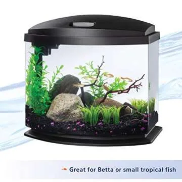Aqueon LED MiniBow Aquarium Kit 5 Gallon with SmartClean
