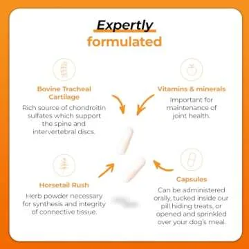 VetriScience Healthy Spine & Disc Easy-Open Capsules, Back & Spinal Support Chondroitin & Taurine Supplement for Dogs, Perfect for Dachshunds, Corgis, Frenchies & More, 180 Count