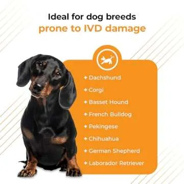 VetriScience Healthy Spine & Disc Easy-Open Capsules, Back & Spinal Support Chondroitin & Taurine Supplement for Dogs, Perfect for Dachshunds, Corgis, Frenchies & More, 180 Count