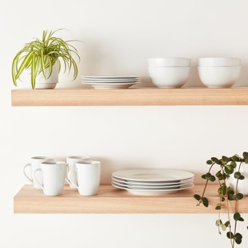 Amazon Basics Porcelain Dinnerware Set - Service for 4