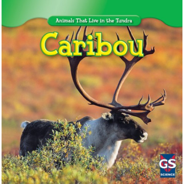 Engaging Caribou Book for Kids to Explore Arctic Wildlife